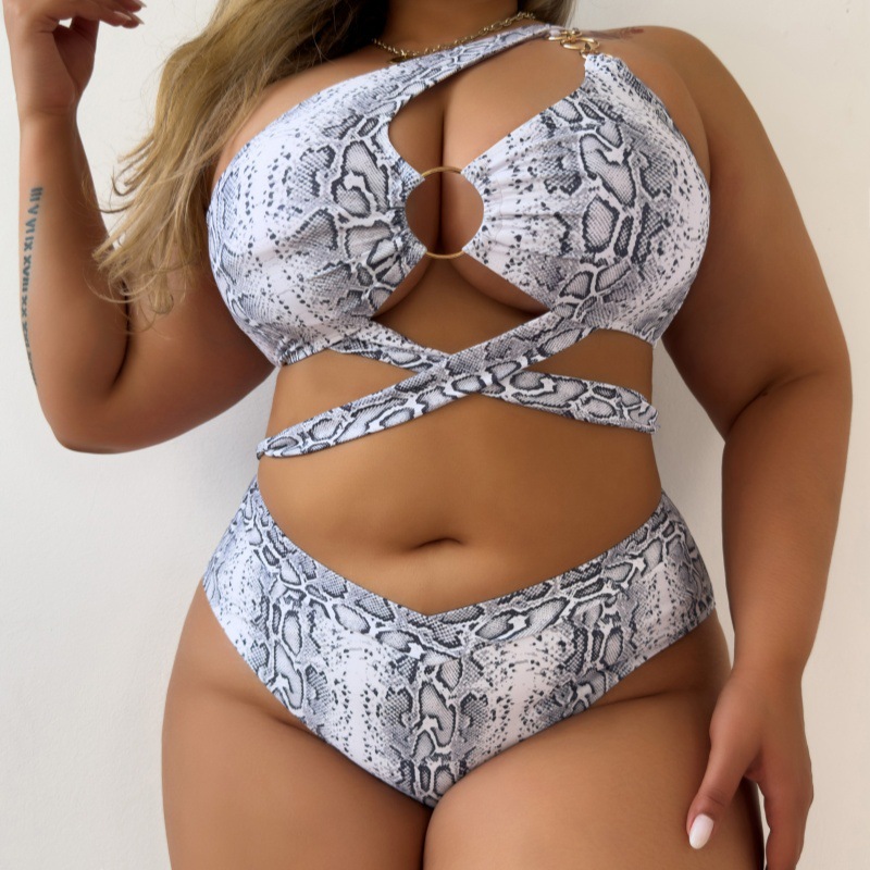 Bikini sexy snake patterned two-piece swimsuit set - Image 2